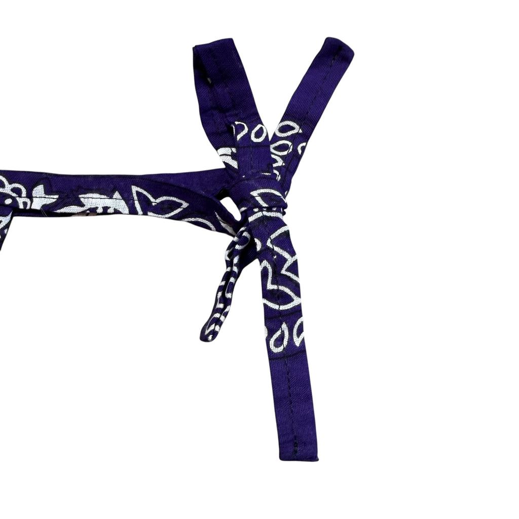 Purple Hanky Bandana Thong. O/S